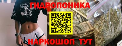 сатива Краснодар