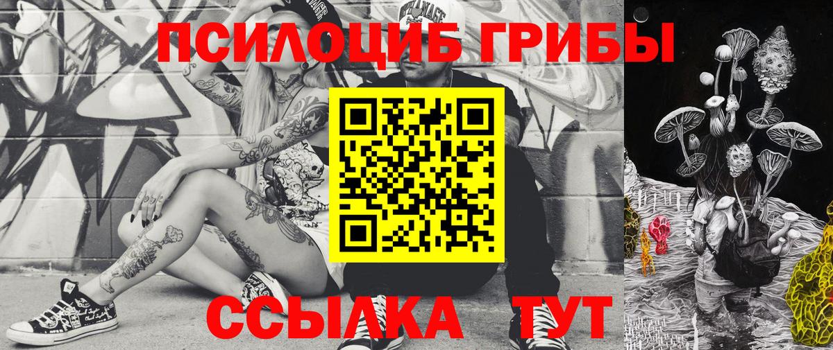Псилоцибиновые грибы MAGIC MUSHROOMS  Вход с VPN  Галлюциногенные грибы Cubensis  Железноводск 