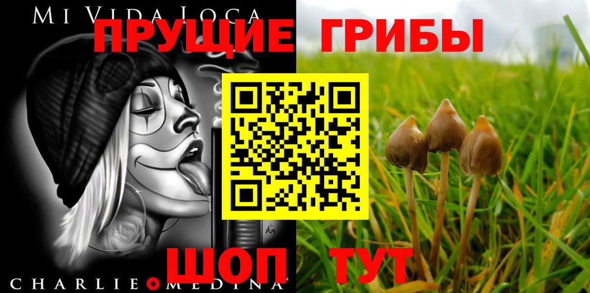 Галлюциногенные грибы Cubensis Железноводск